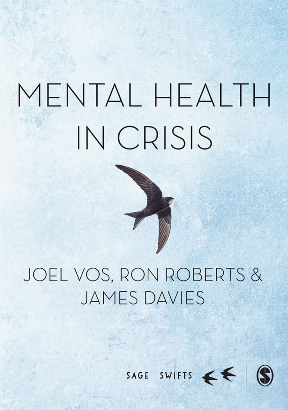 Big bigCover of Mental Health in Crisis