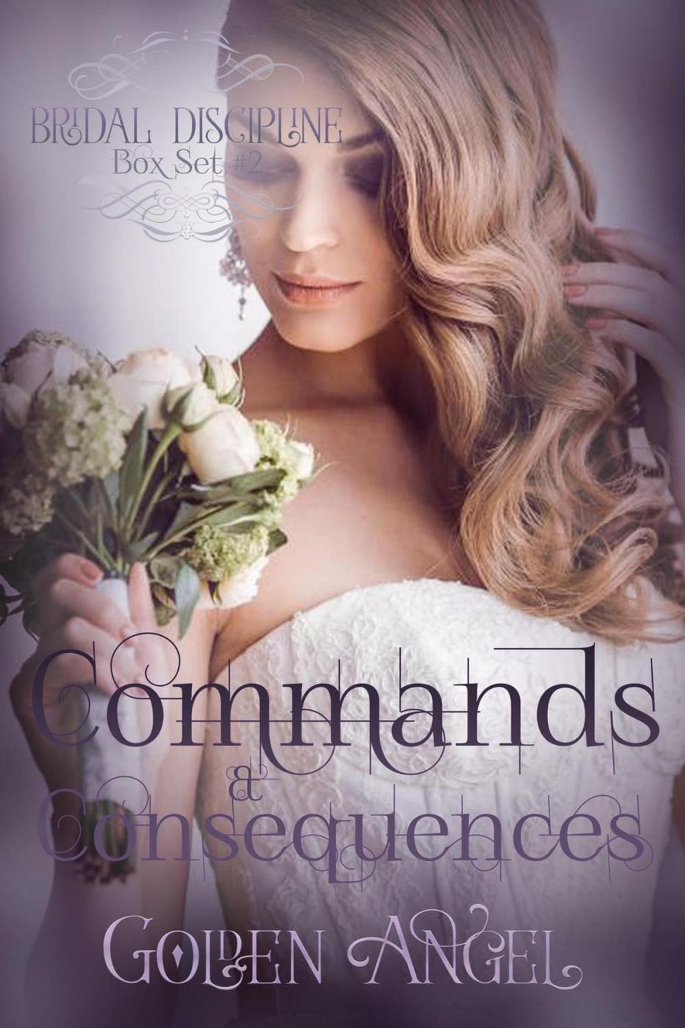 Big bigCover of Commands and Consequences