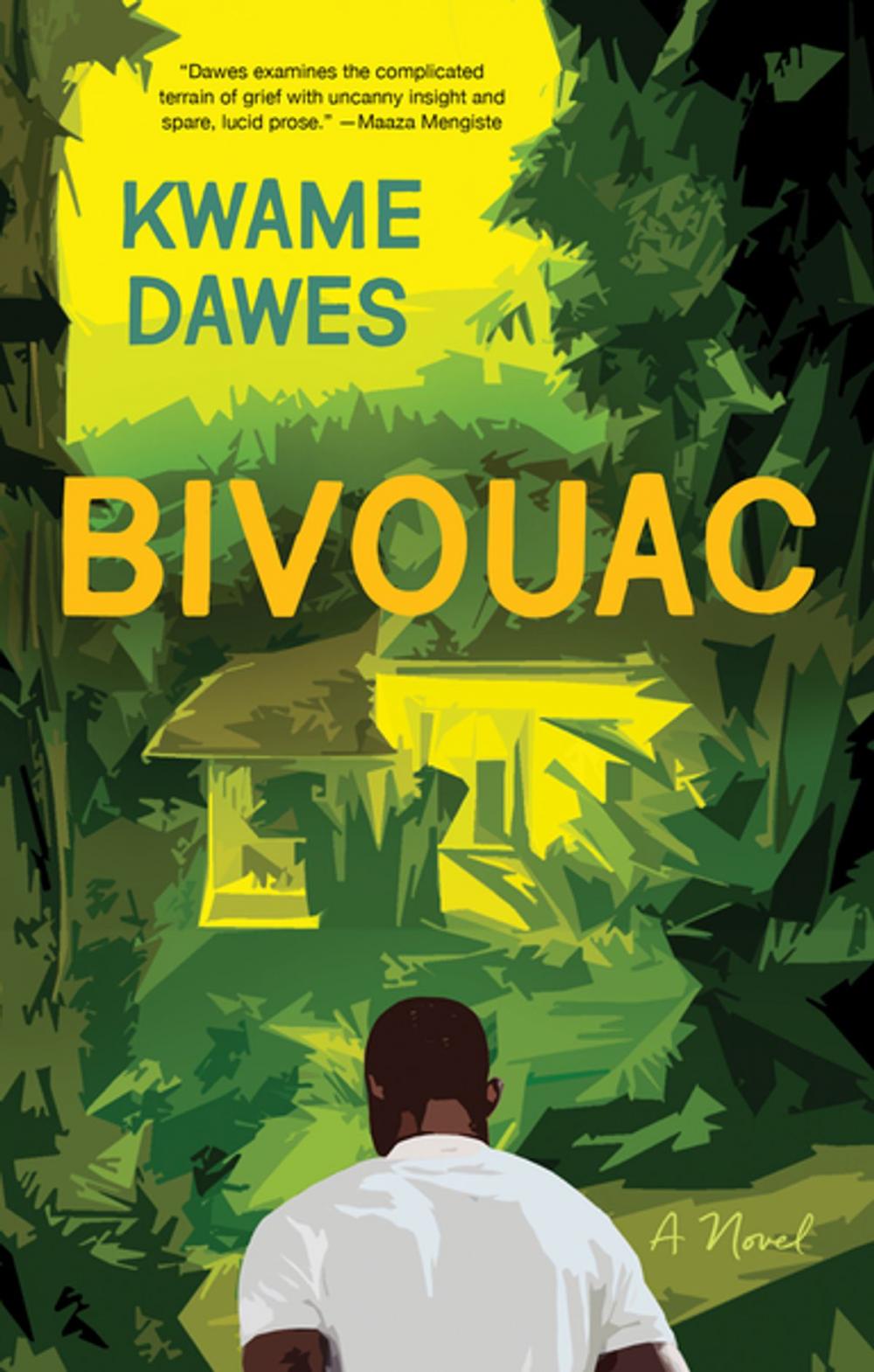 Big bigCover of Bivouac