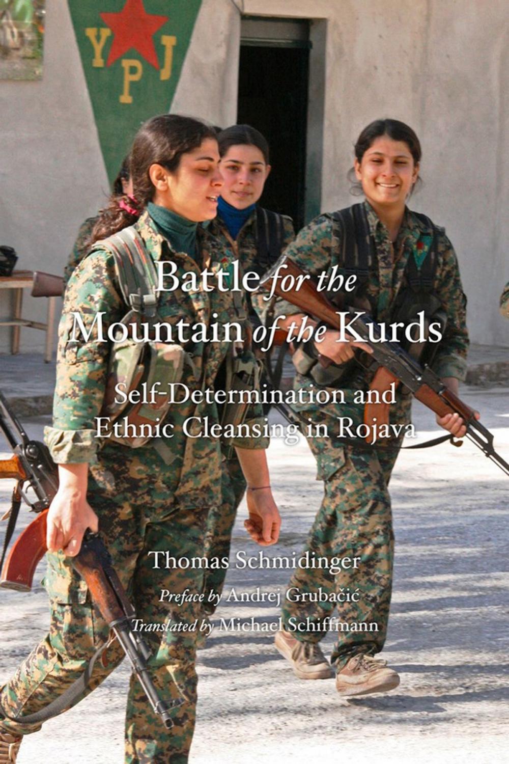 Big bigCover of Battle For The Mountain Of The Kurds