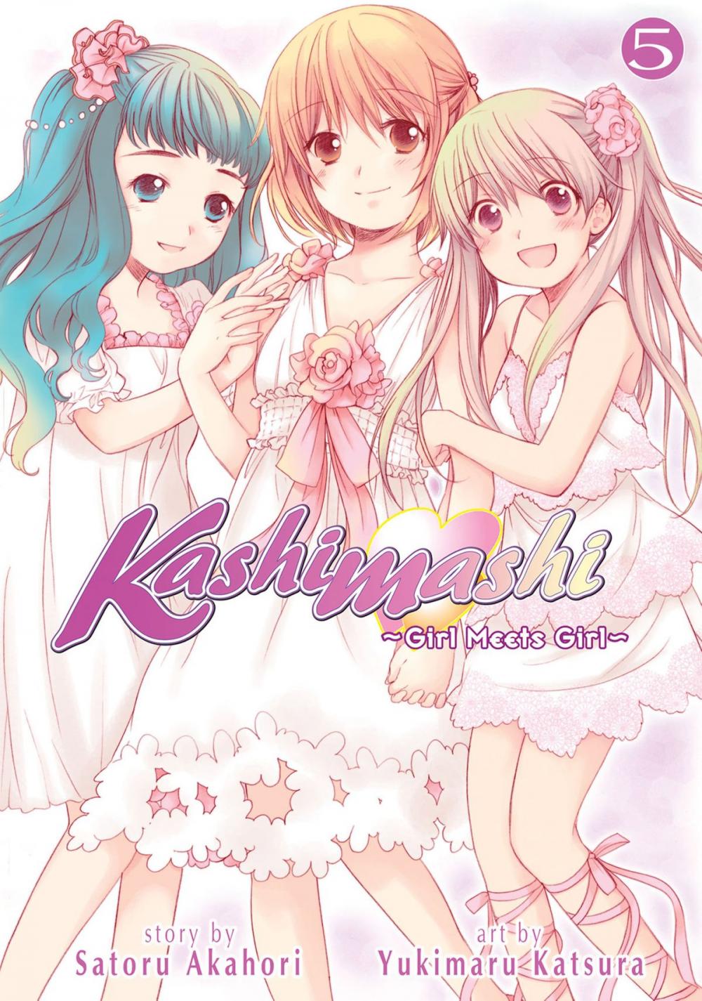 Big bigCover of Kashimashi ~Girl Meets Girl~ Vol. 5