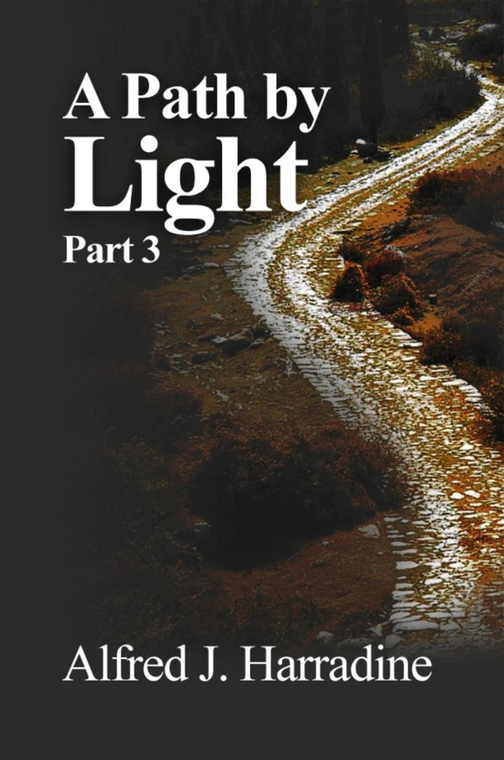 Big bigCover of A Path By Light