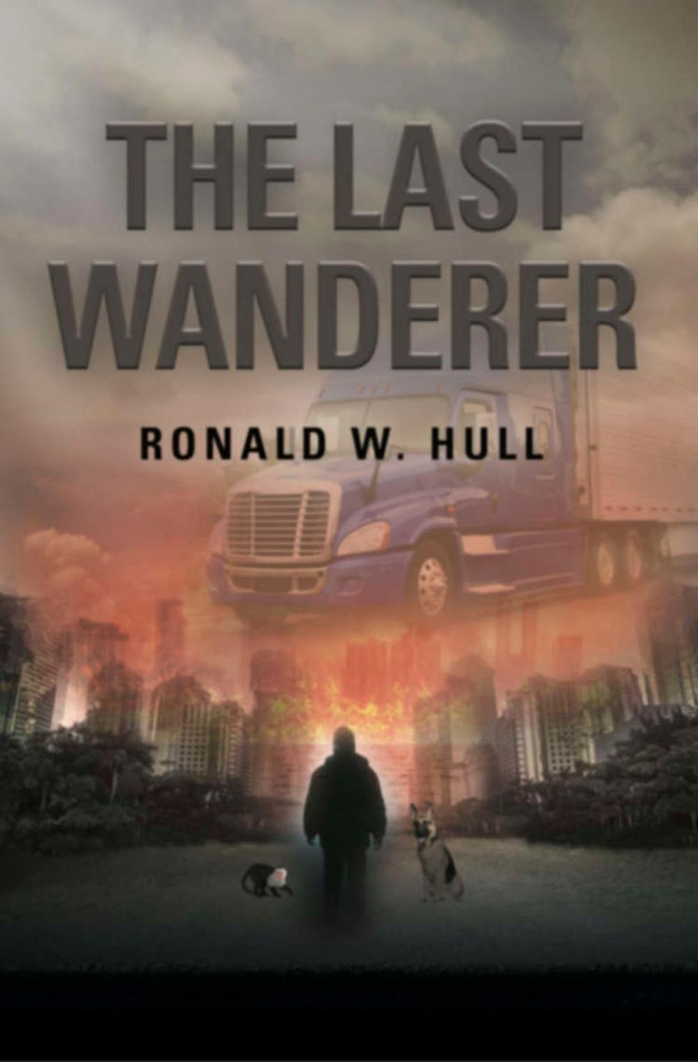 Big bigCover of The Last Wanderer: Last Man on Earth