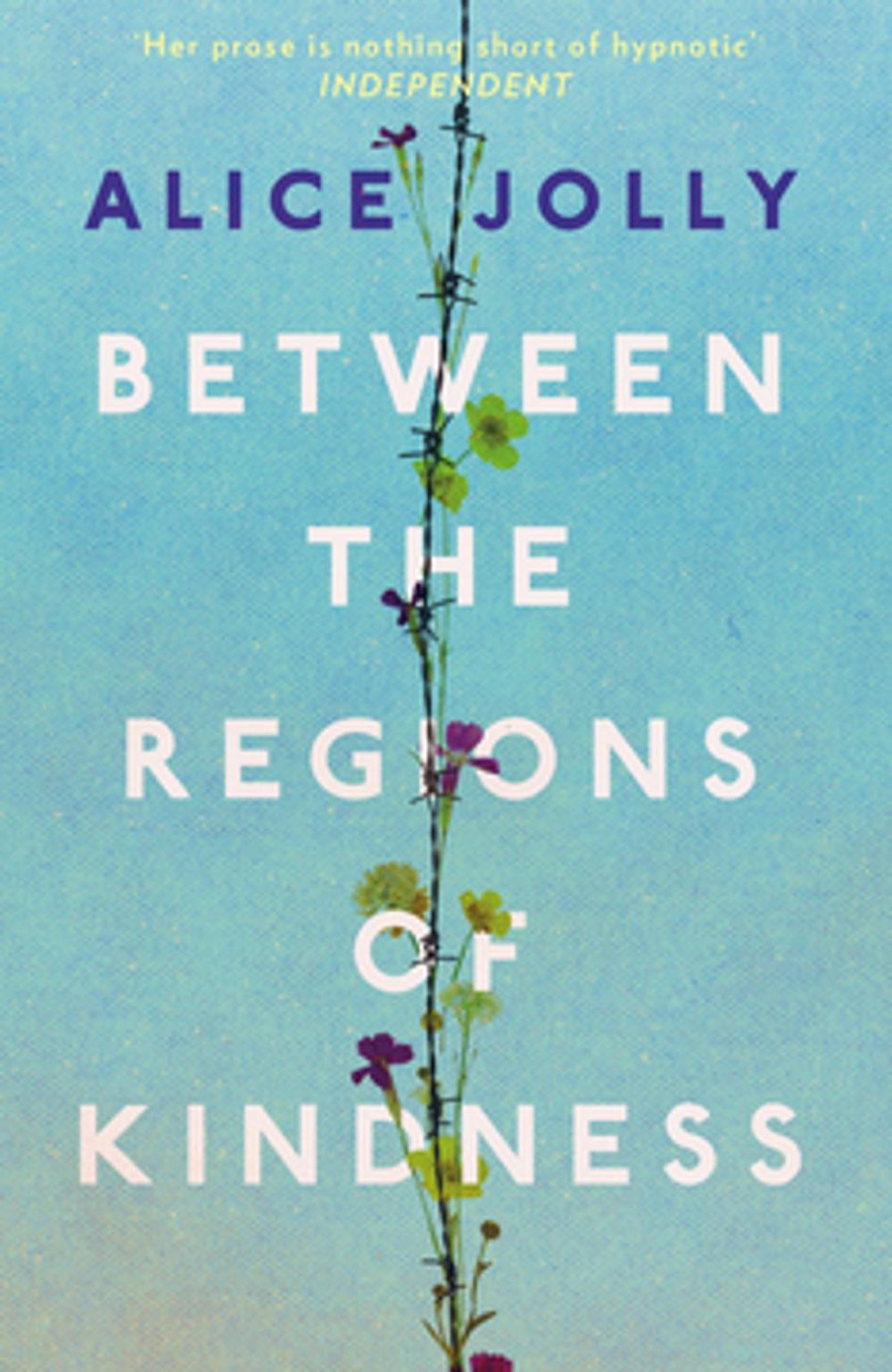 Big bigCover of Between the Regions of Kindness