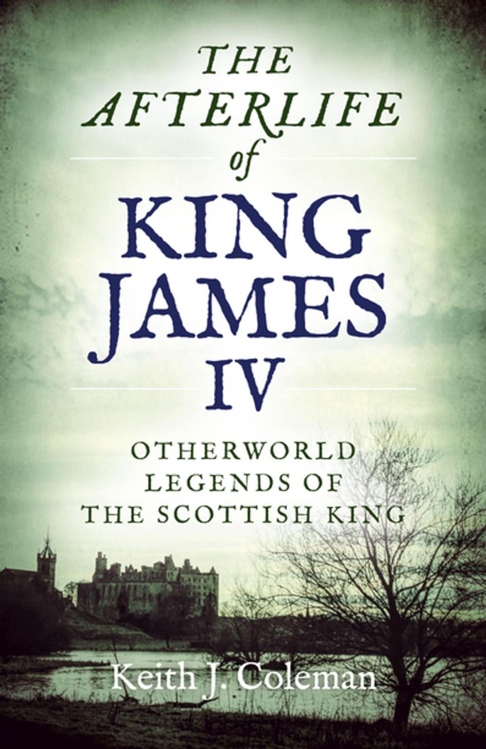 Big bigCover of The Afterlife of King James IV