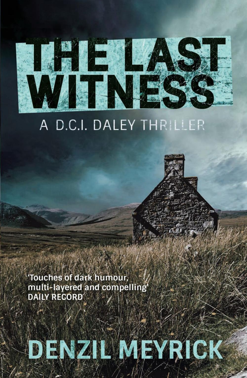 Big bigCover of The Last Witness