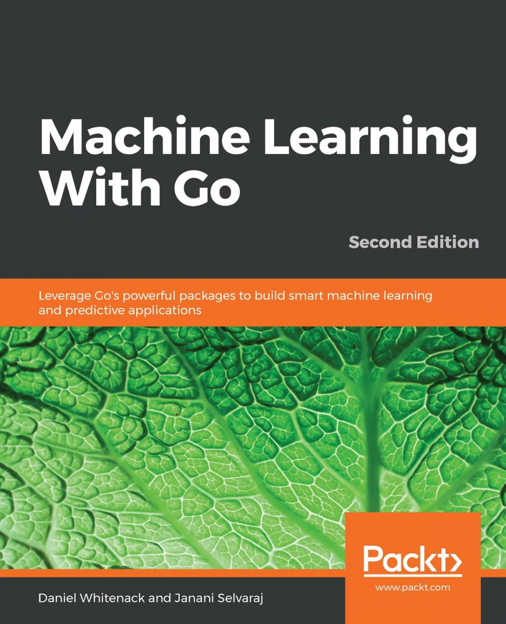 Big bigCover of Machine Learning With Go