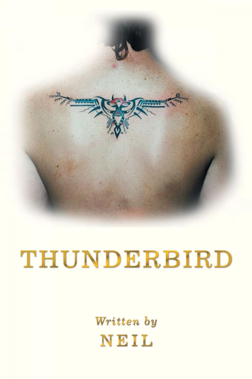 Big bigCover of Thunderbird