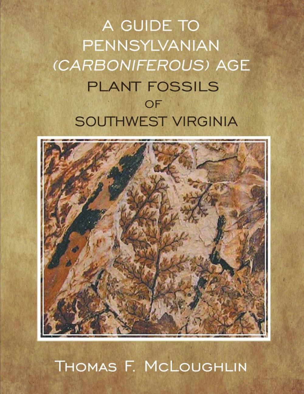 Big bigCover of A Guide to Pennsylvanian (Carboniferous) Age Plant Fossils of Southwest Virginia