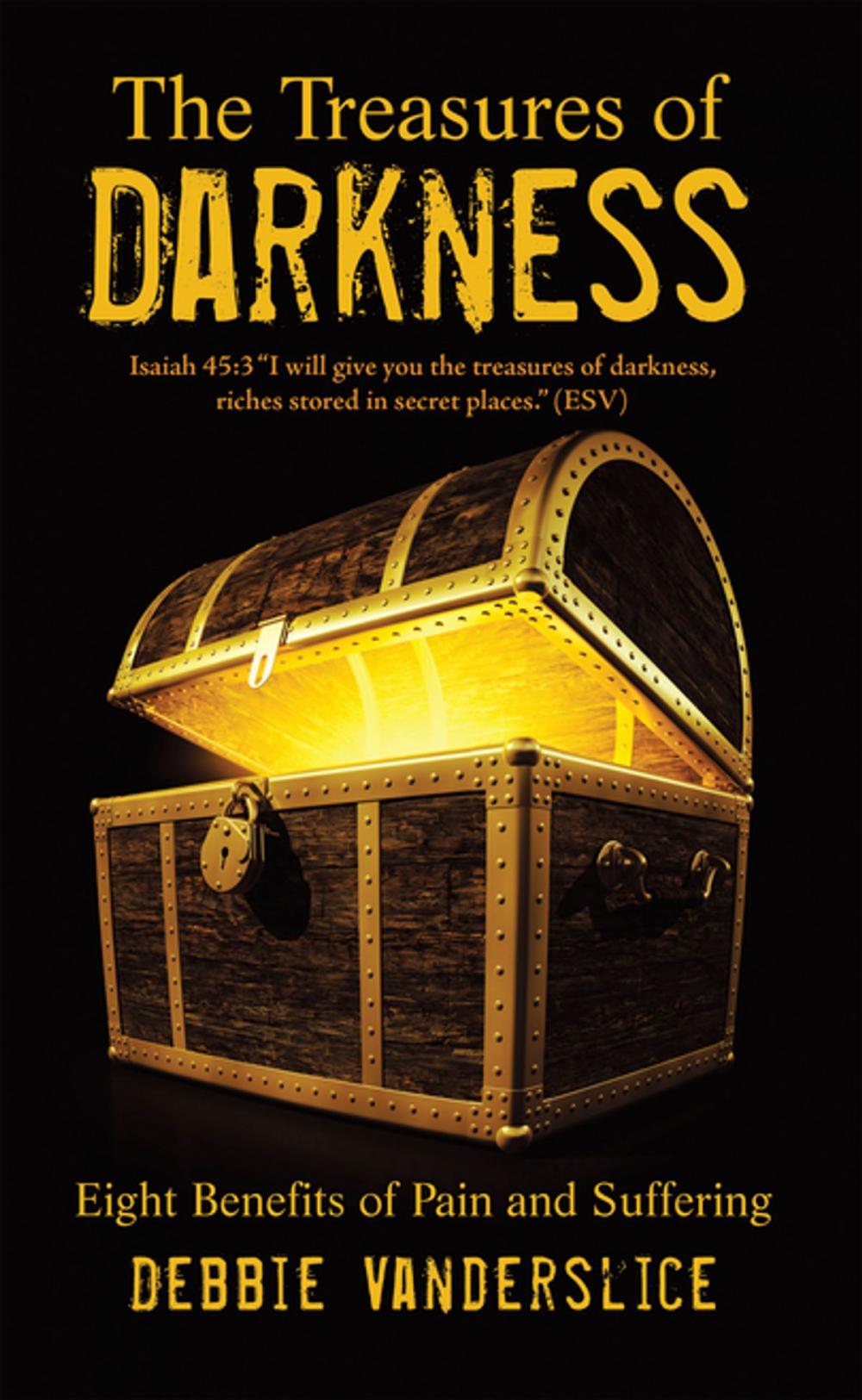 Big bigCover of The Treasures of Darkness