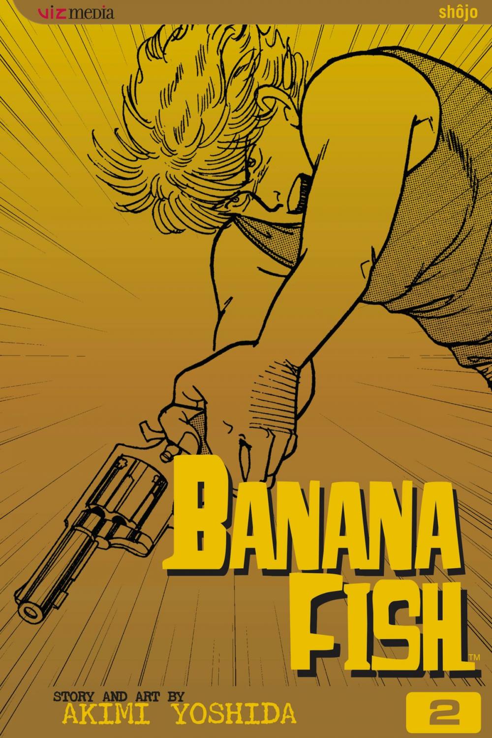 Big bigCover of Banana Fish, Vol. 2