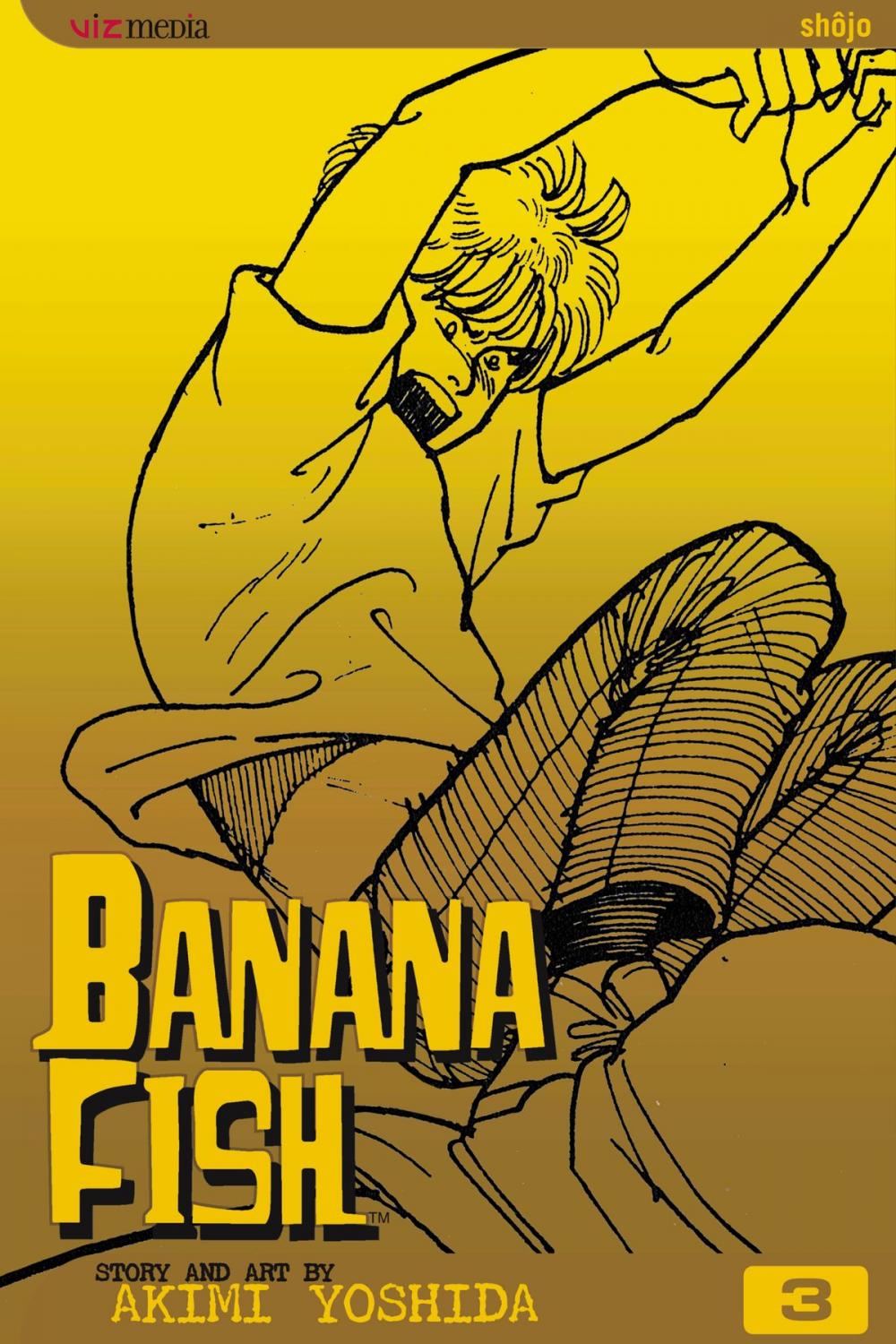 Big bigCover of Banana Fish, Vol. 3