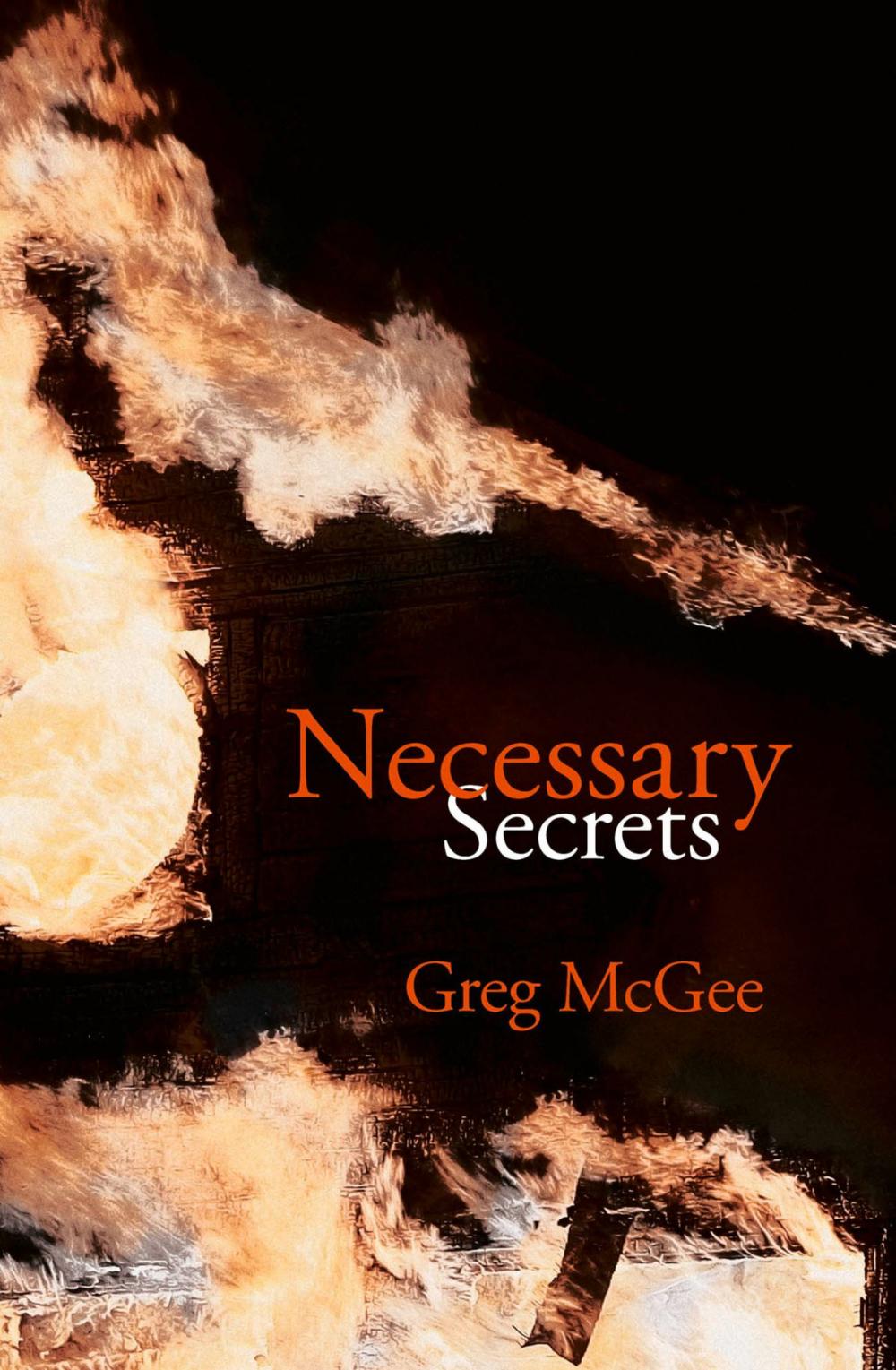 Big bigCover of Necessary Secrets