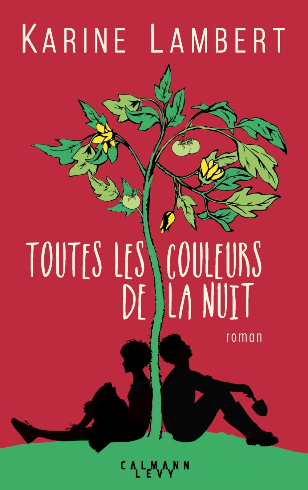 Big bigCover of Toutes les couleurs de la nuit