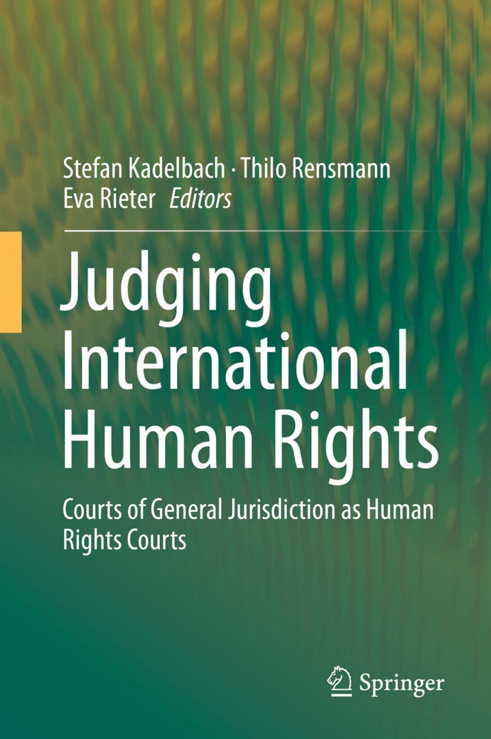 Big bigCover of Judging International Human Rights