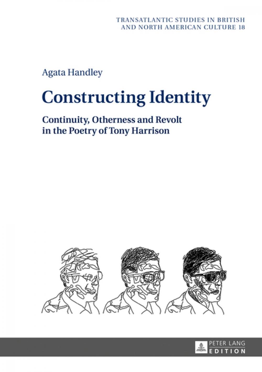 Big bigCover of Constructing Identity