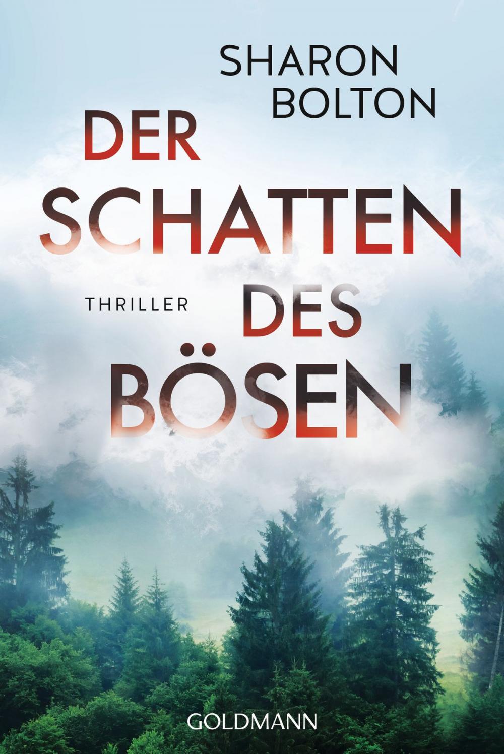 Big bigCover of Der Schatten des Bösen