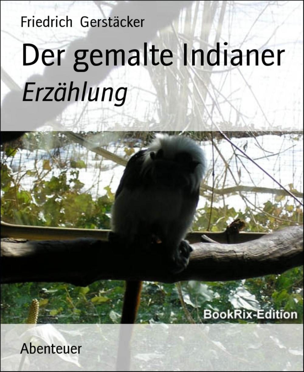 Big bigCover of Der gemalte Indianer