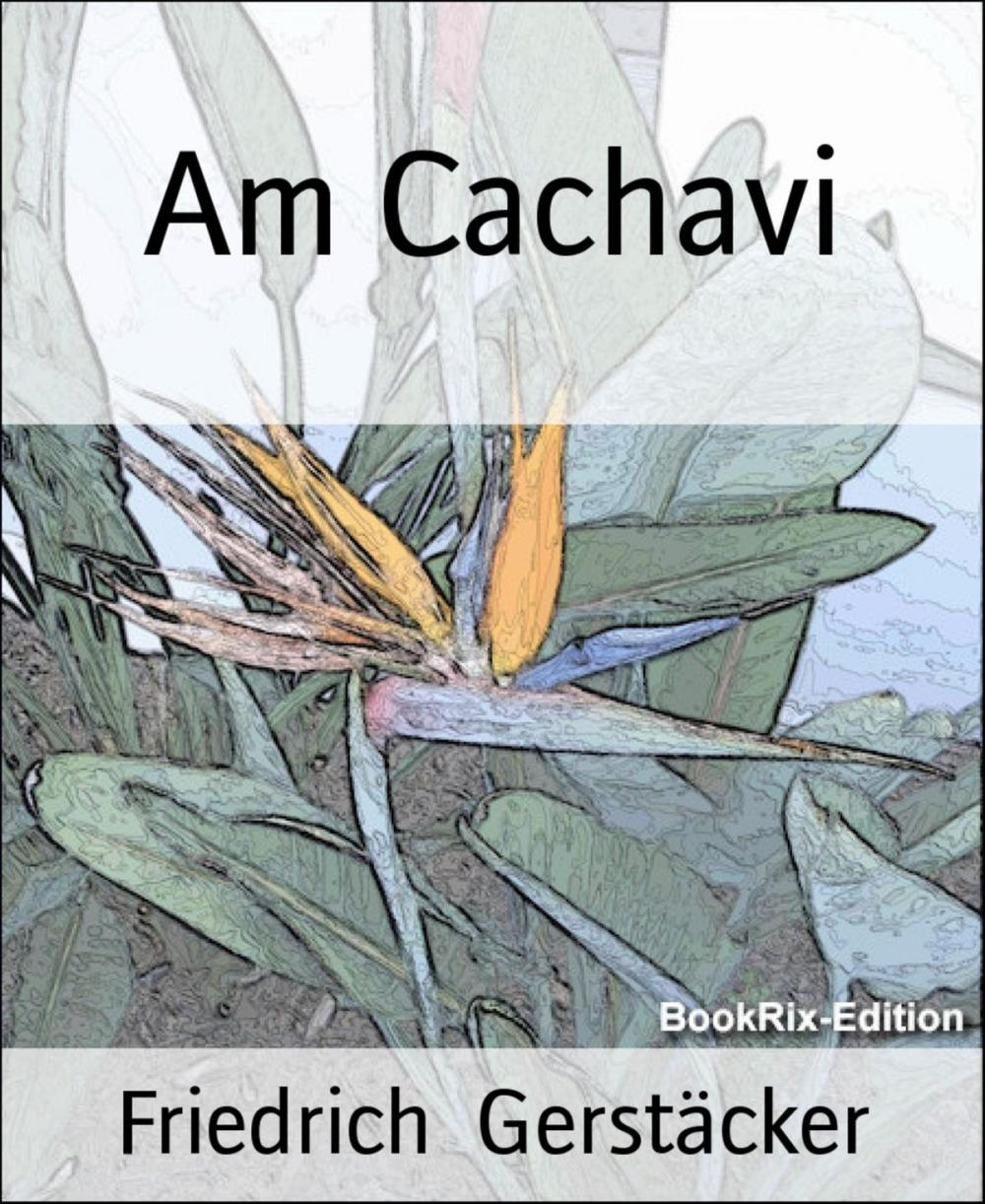 Big bigCover of Am Cachavi