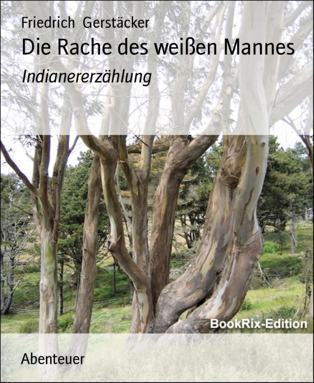 Big bigCover of Die Rache des weißen Mannes