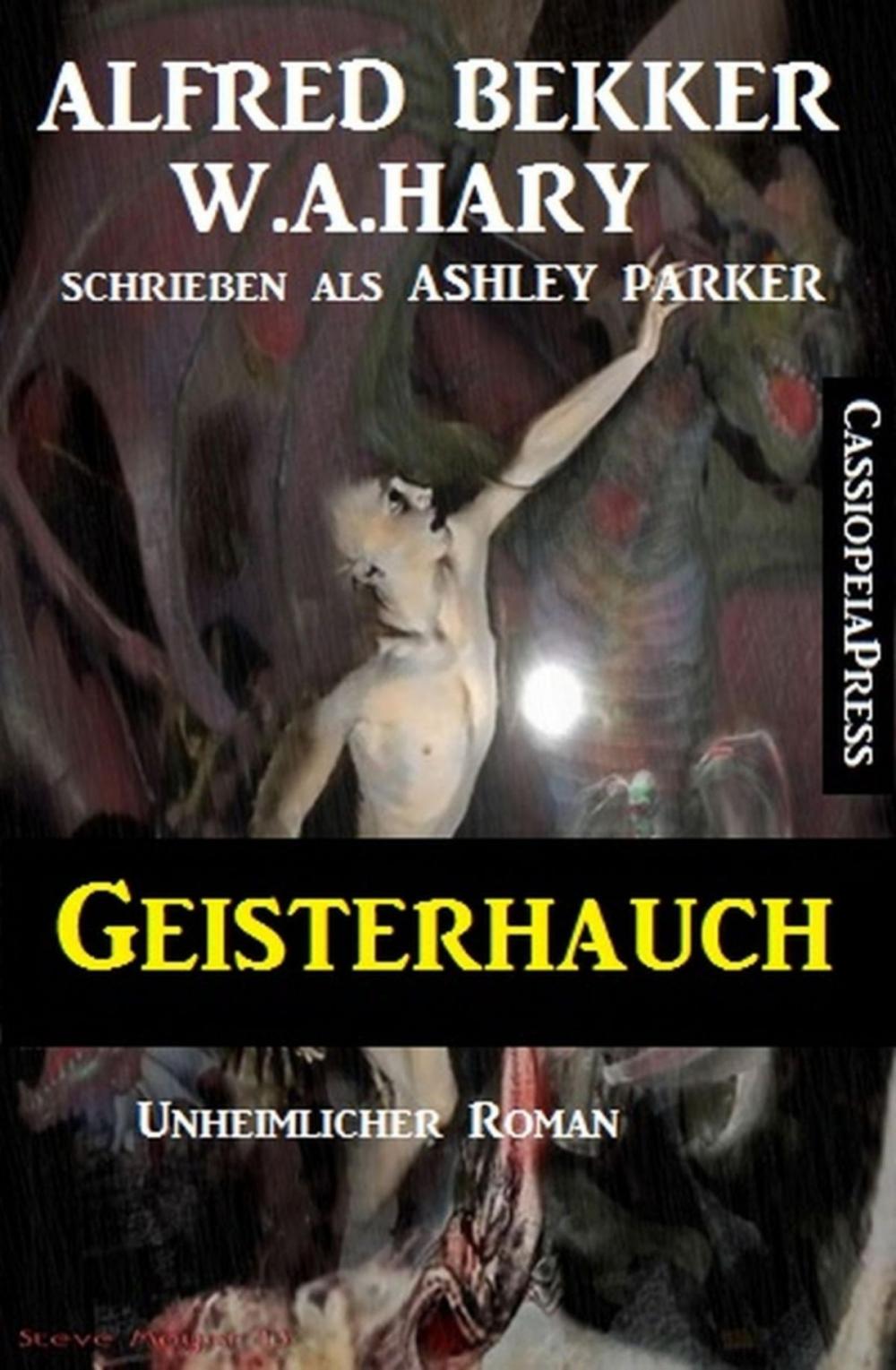 Big bigCover of Geisterhauch: Unheimlicher Roman