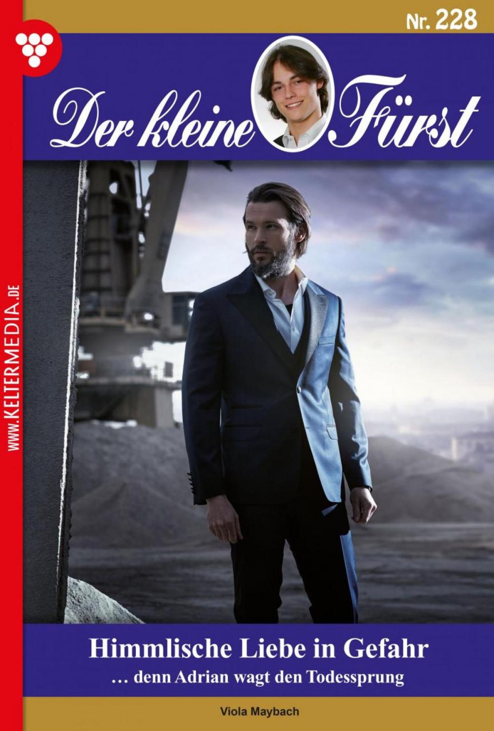 Big bigCover of Der kleine Fürst 228 – Adelsroman