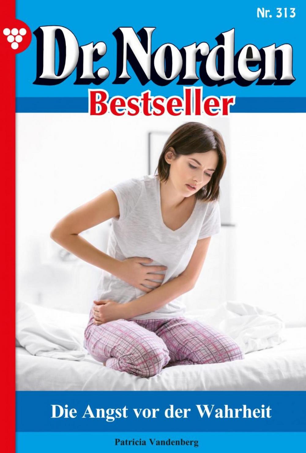 Big bigCover of Dr. Norden Bestseller 313 – Arztroman