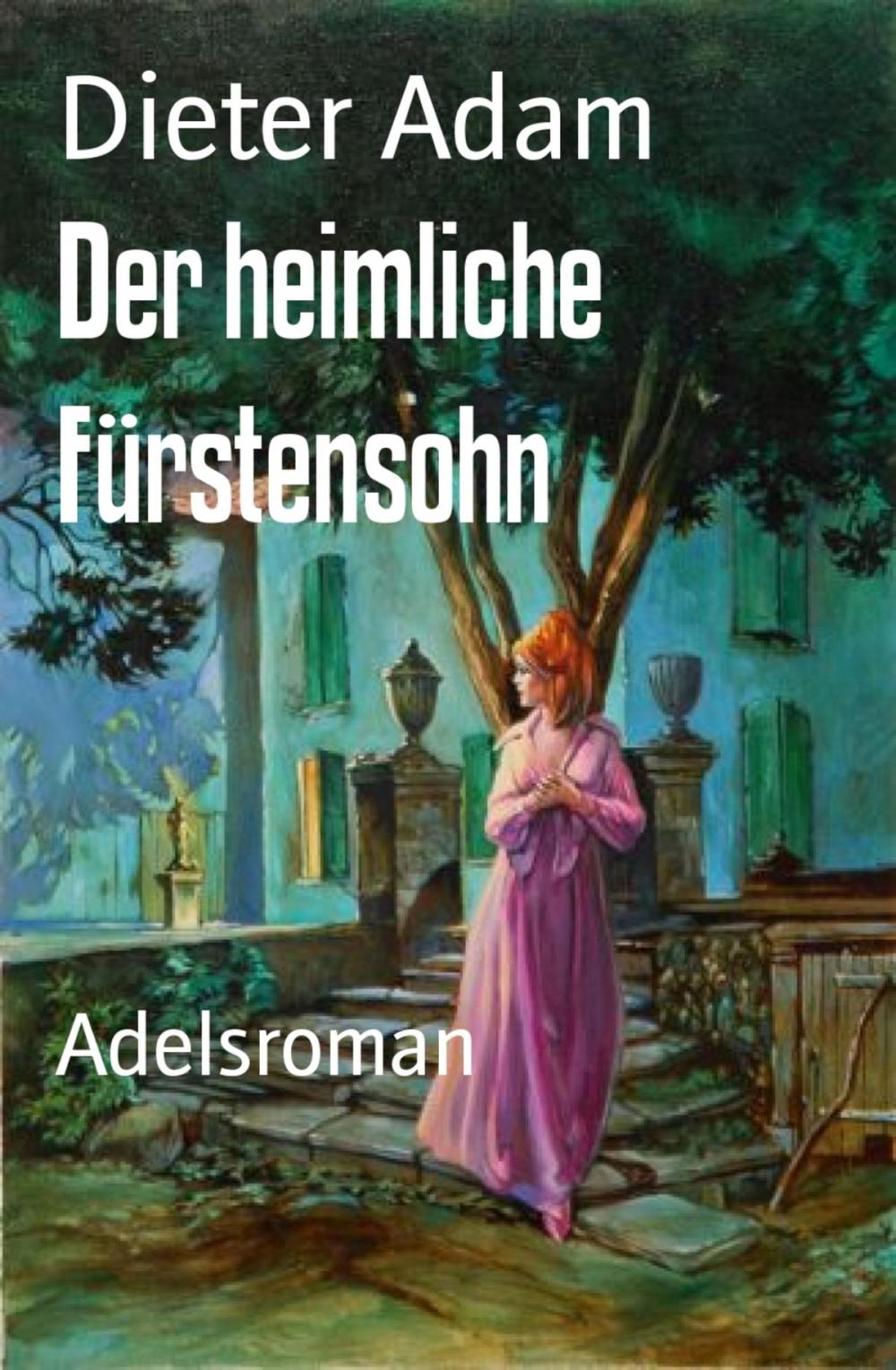 Big bigCover of Der heimliche Fürstensohn