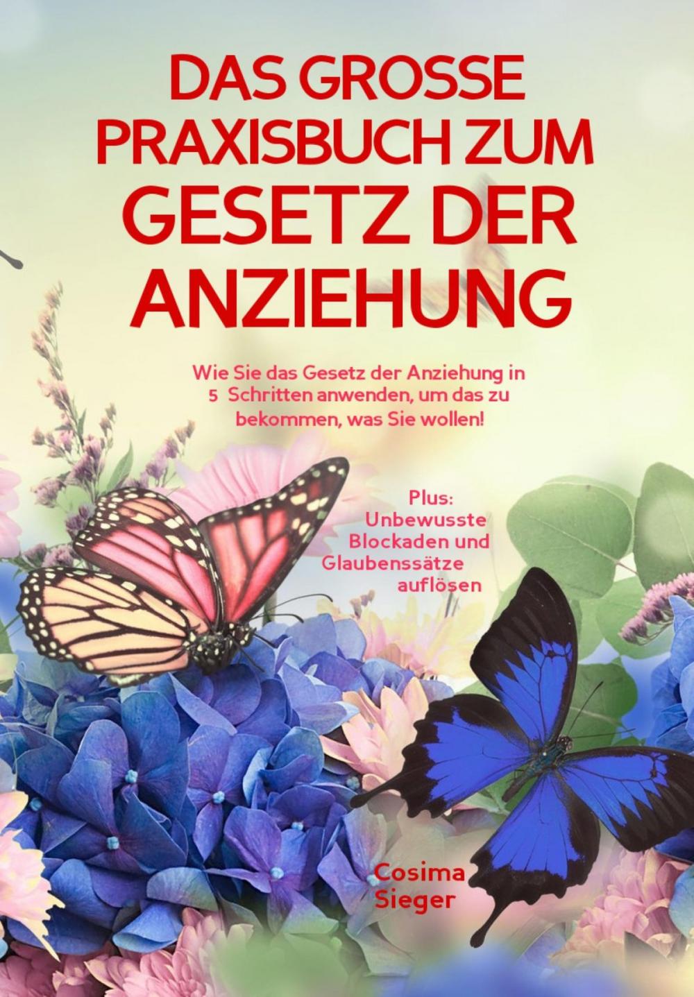 Big bigCover of DAS GROSSE PRAXISBUCH ZUM GESETZ DER ANZIEHUNG! Wie Sie das Gesetz der Anziehung in 5 Schritten anwenden, um das zu bekommen, was Sie wollen!