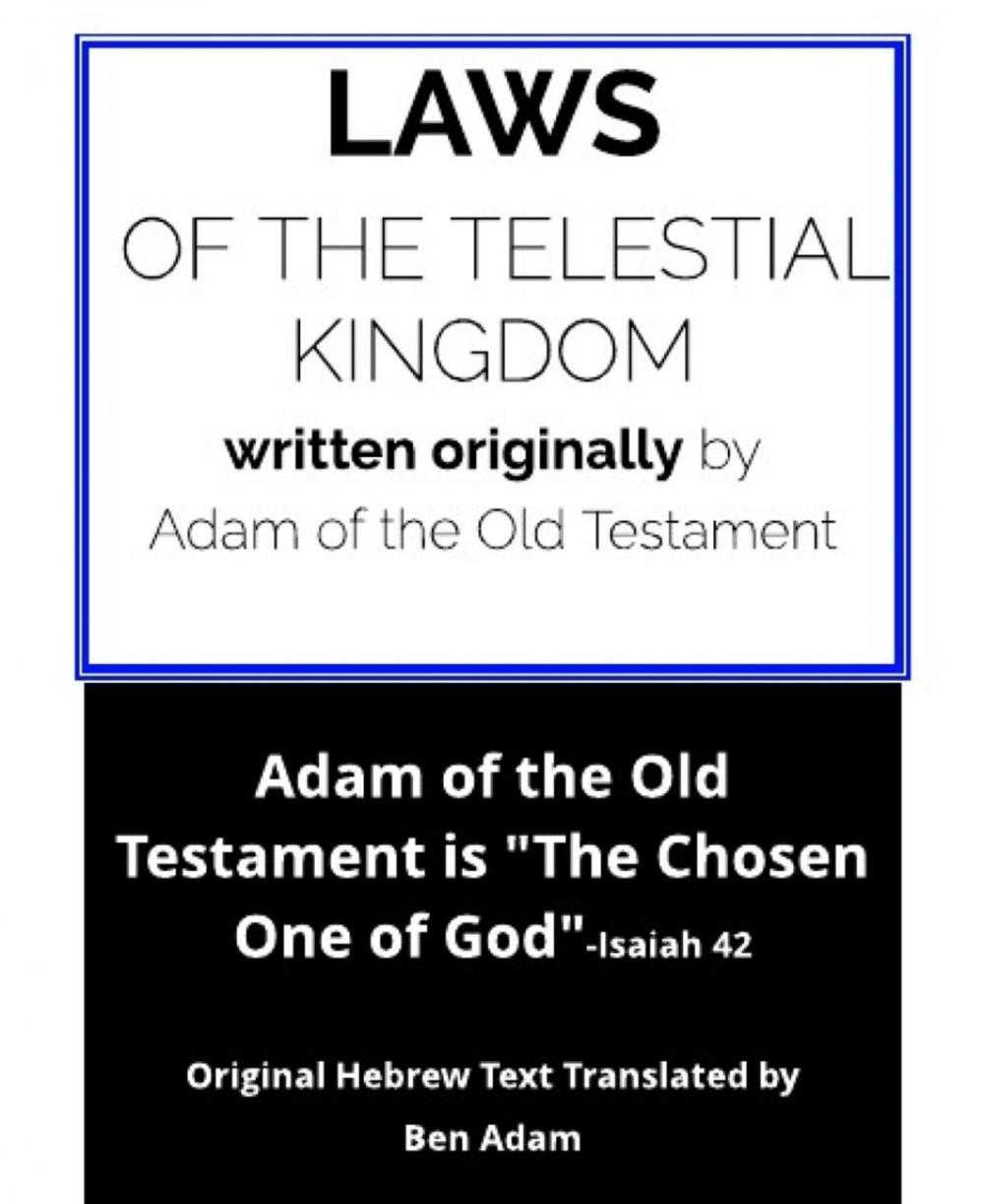 Big bigCover of Laws of the Telestial Kingdom