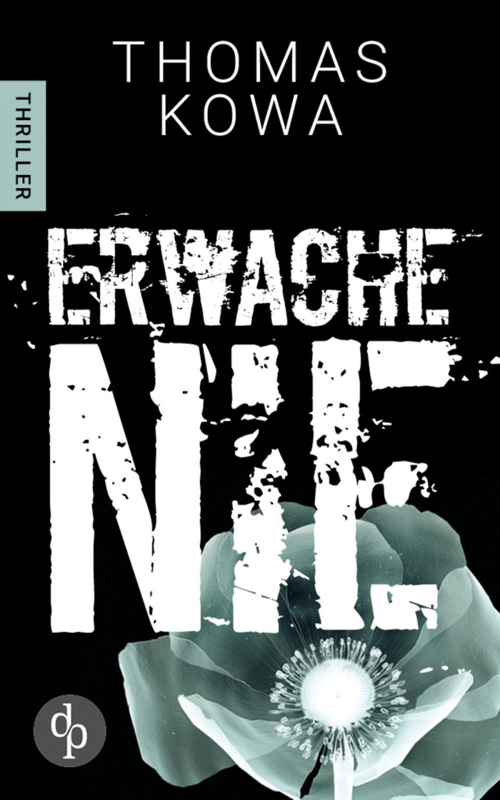 Big bigCover of Erwache nie