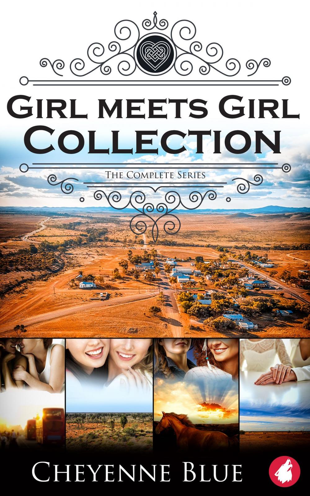 Big bigCover of Girl Meets Girl Collection