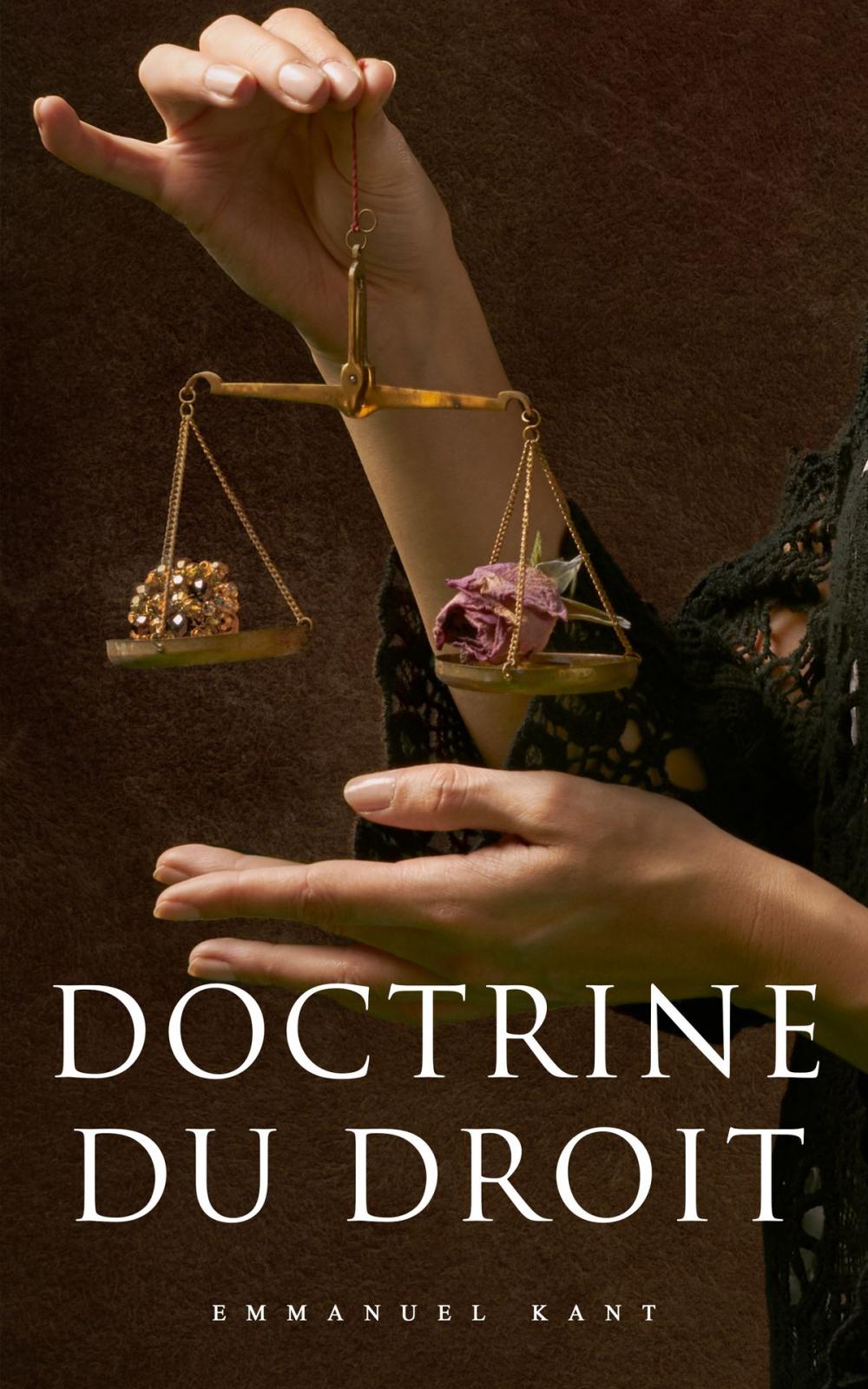 Big bigCover of Doctrine du droit