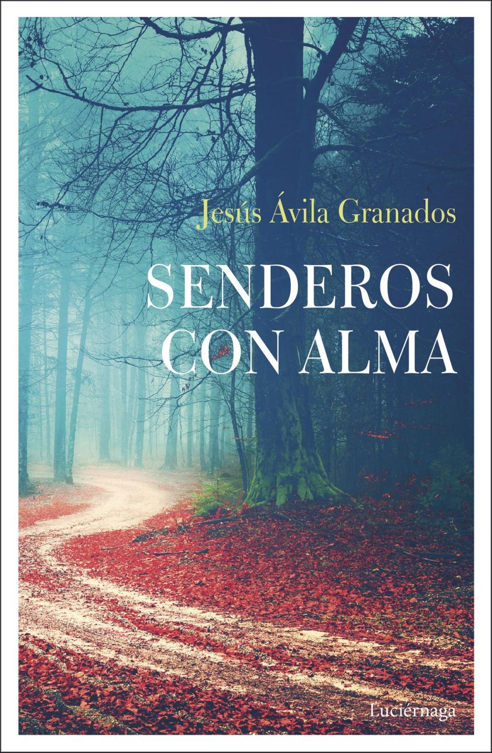 Big bigCover of Senderos con alma