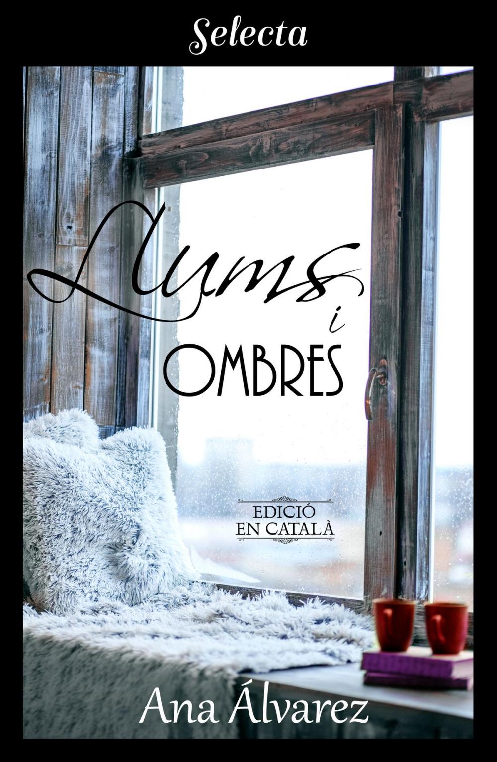 Big bigCover of Llums i ombres