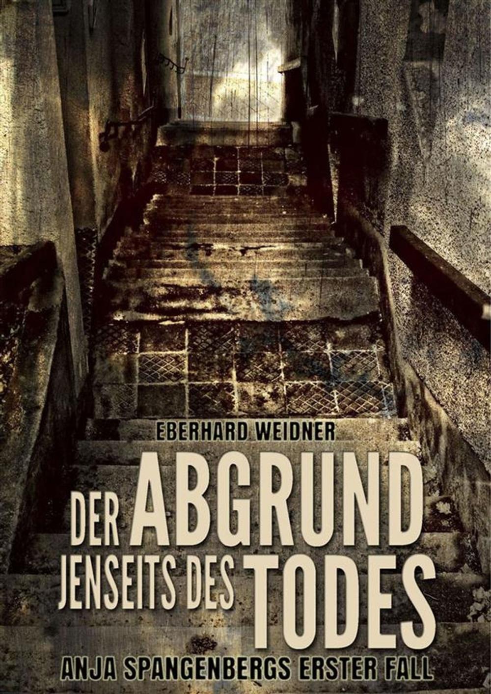 Big bigCover of Der Abgrund jenseits des Todes