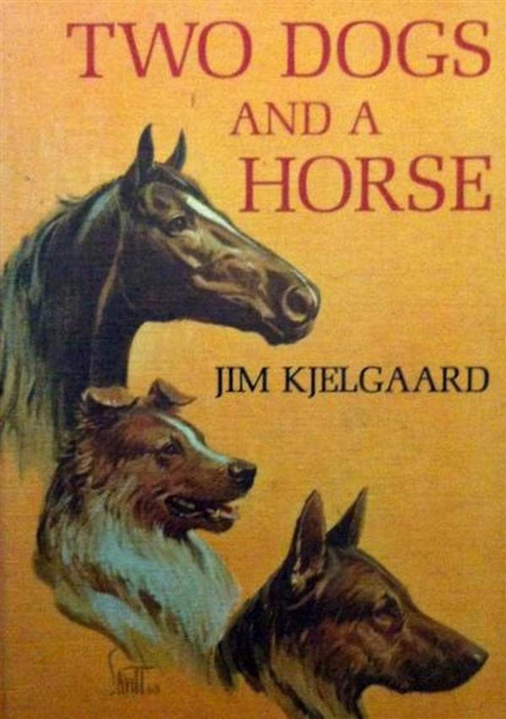 Big bigCover of Two Dogs and a Horse