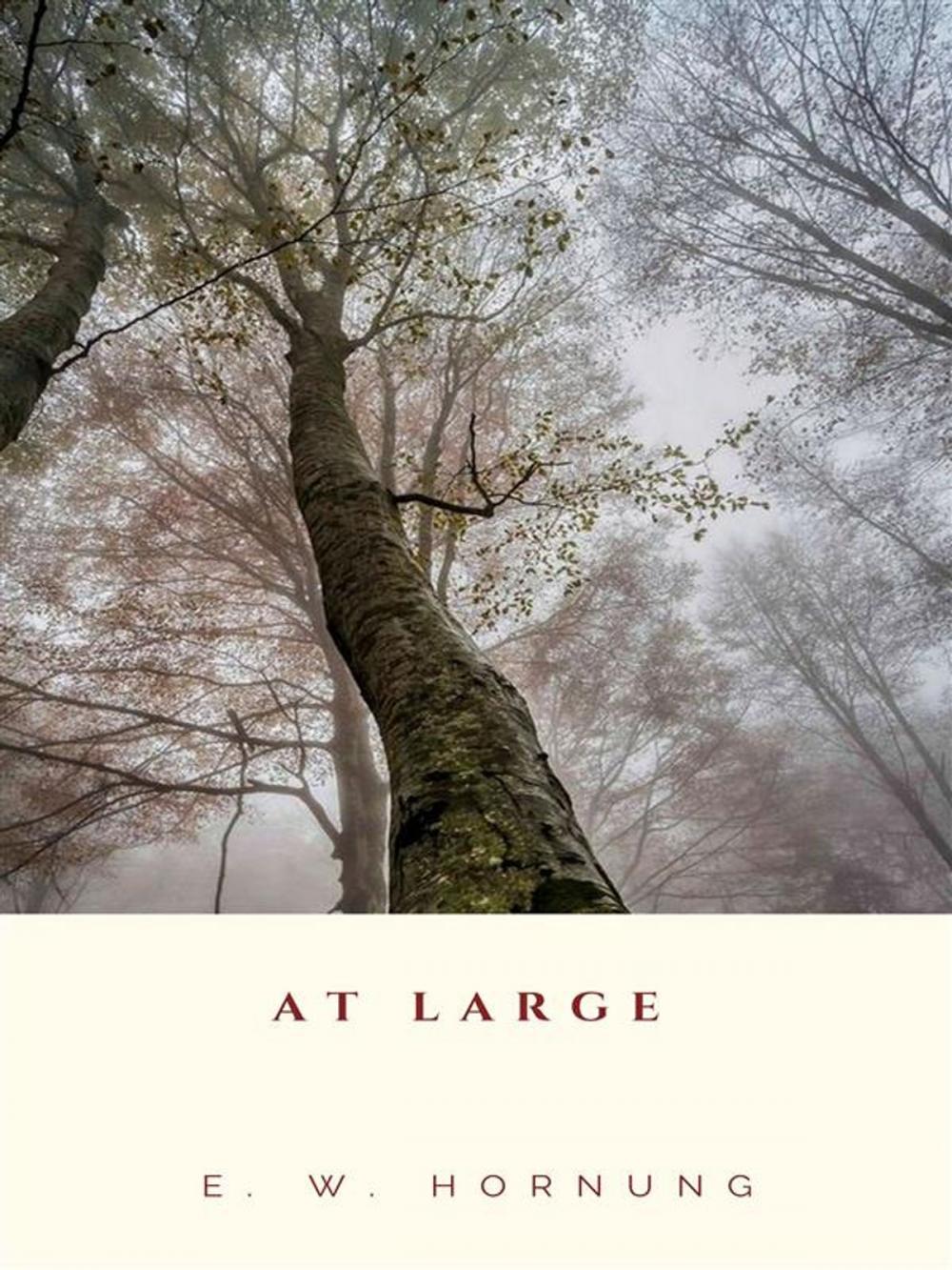 Big bigCover of At Large