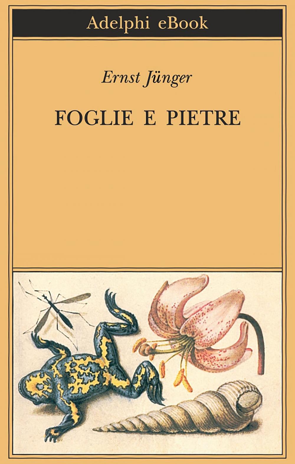 Big bigCover of Foglie e pietre