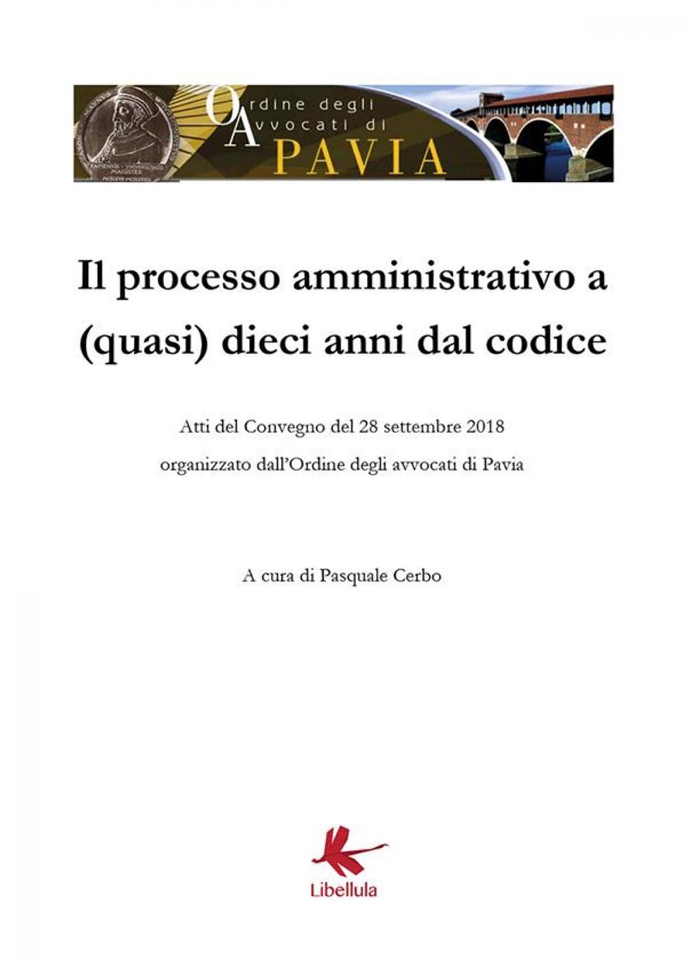 Big bigCover of Il processo amministrativo a (quasi) dieci anni dal codice