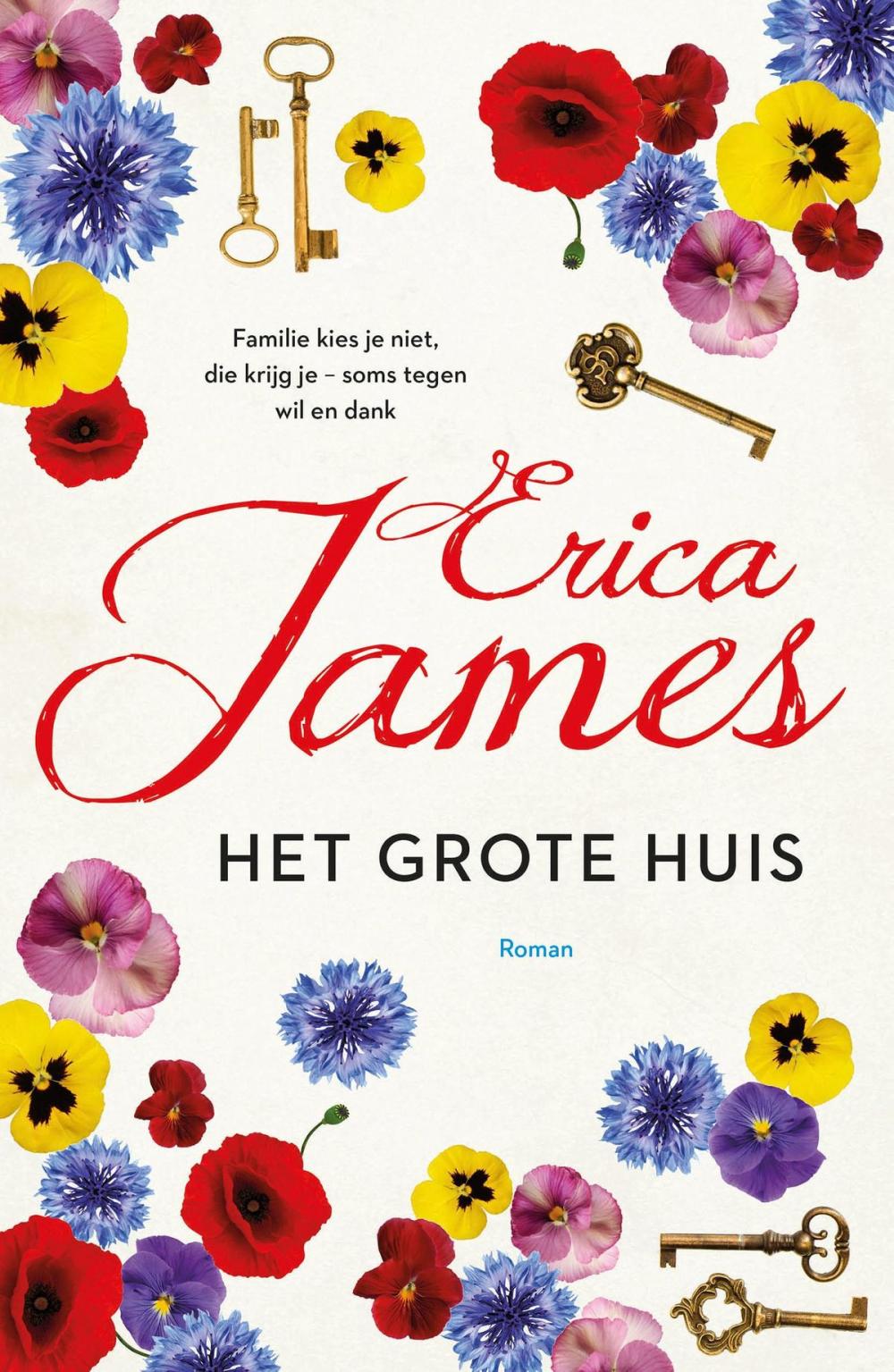 Big bigCover of Het grote huis