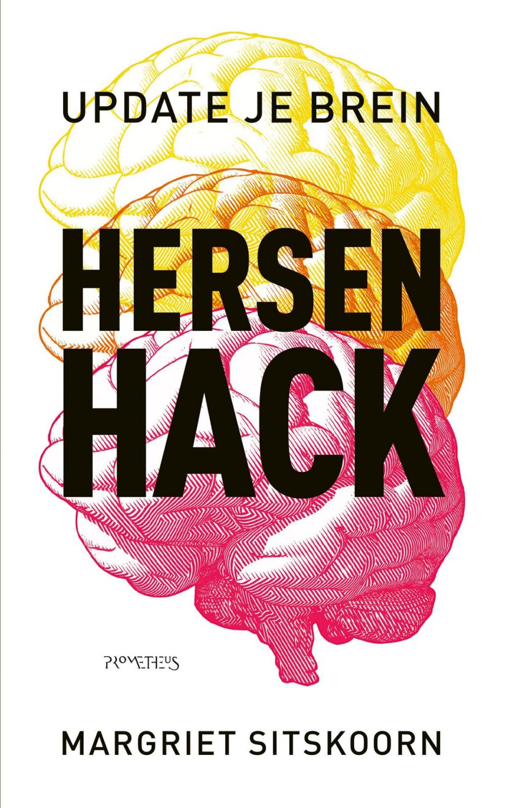 Big bigCover of HersenHack