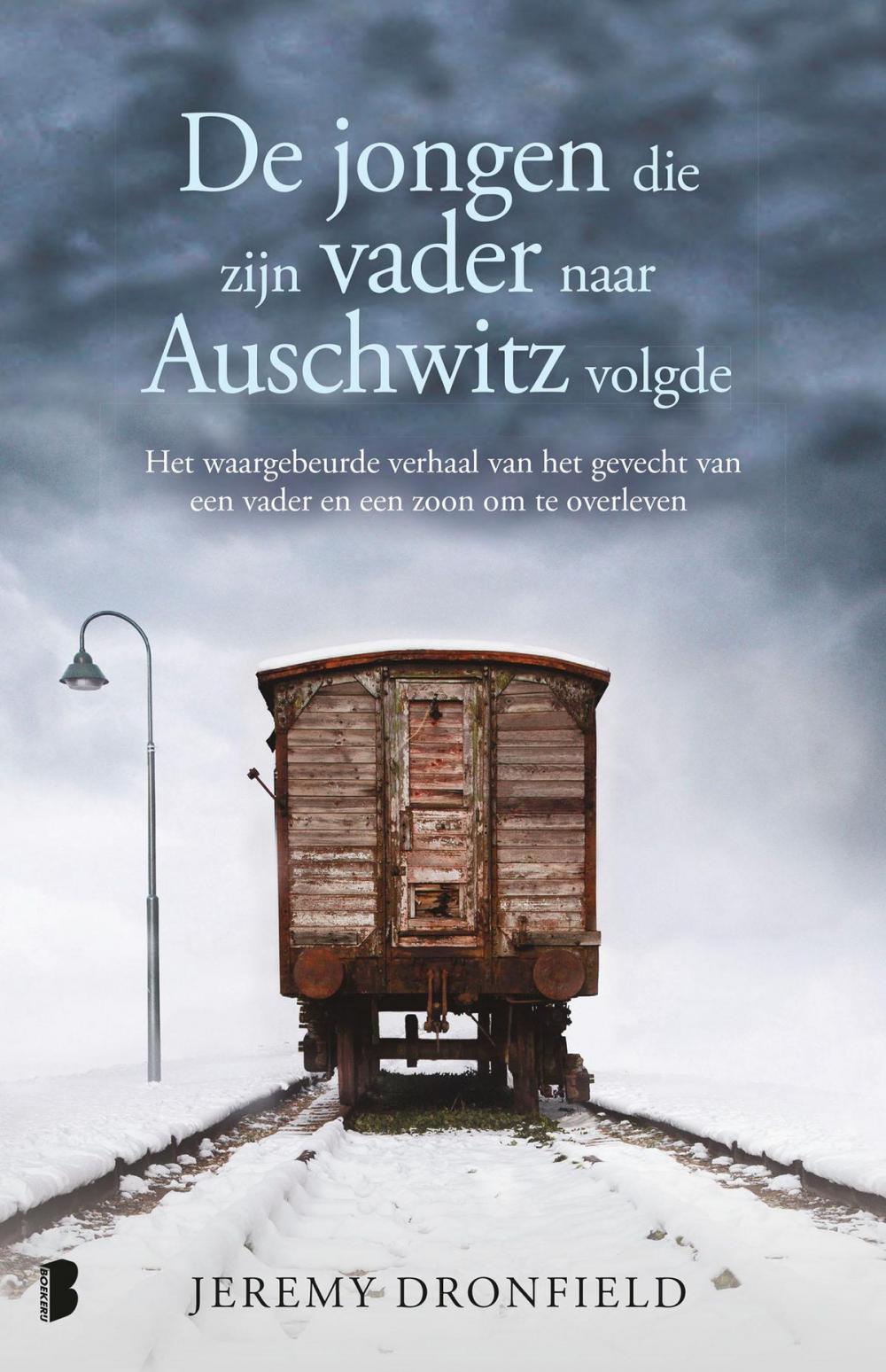 Big bigCover of De jongen die zijn vader naar Auschwitz volgde