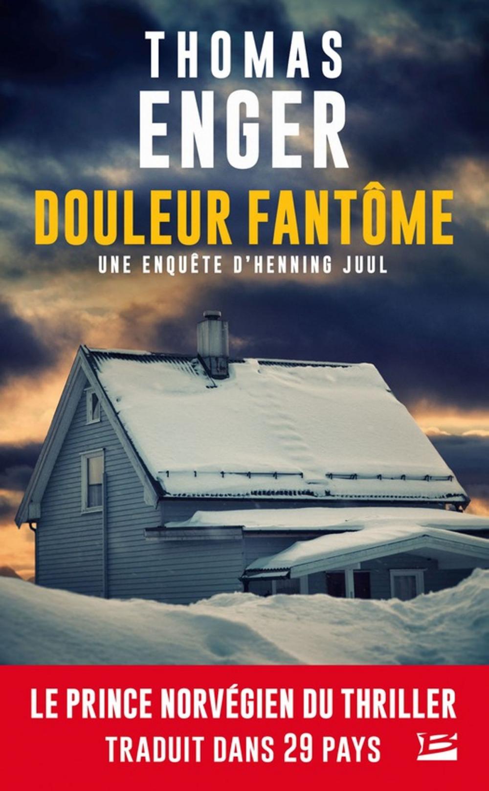 Big bigCover of Douleur fantôme