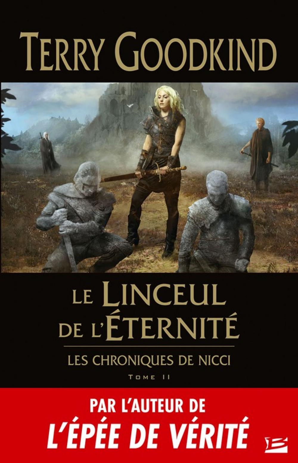 Big bigCover of Le Linceul de l'éternité