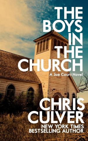 Cover of the book The Boys in the Church by Gary Showalter