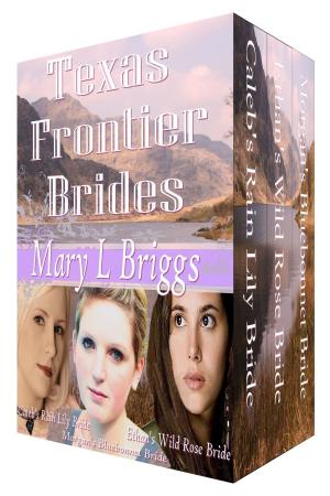 bigCover of the book Texas Frontier Brides by 