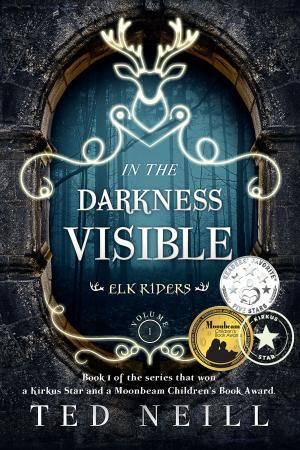 Cover of the book In the Darkness Visible by Amy Sumida
