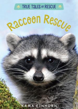 Cover of the book Raccoon Rescue by Paul Galdone