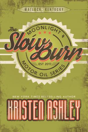Cover of the book The Slow Burn by Katie Reus, Savannah Stuart